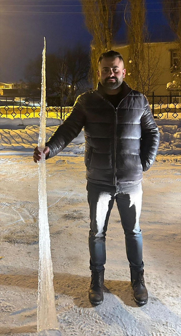 SARKITLAR İNSAN BOYUNA ULAŞTI