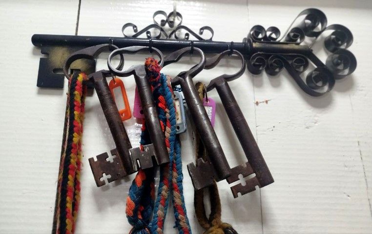  Tescil için başvurdular