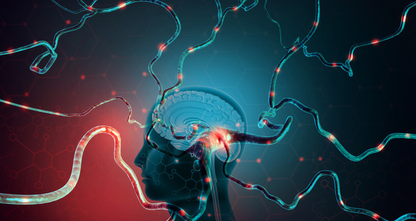 Türkiye’de önemli bir halk sağlığı sorunu