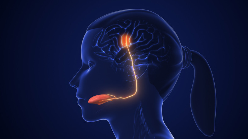 Günlük hayat durma noktasına geliyor