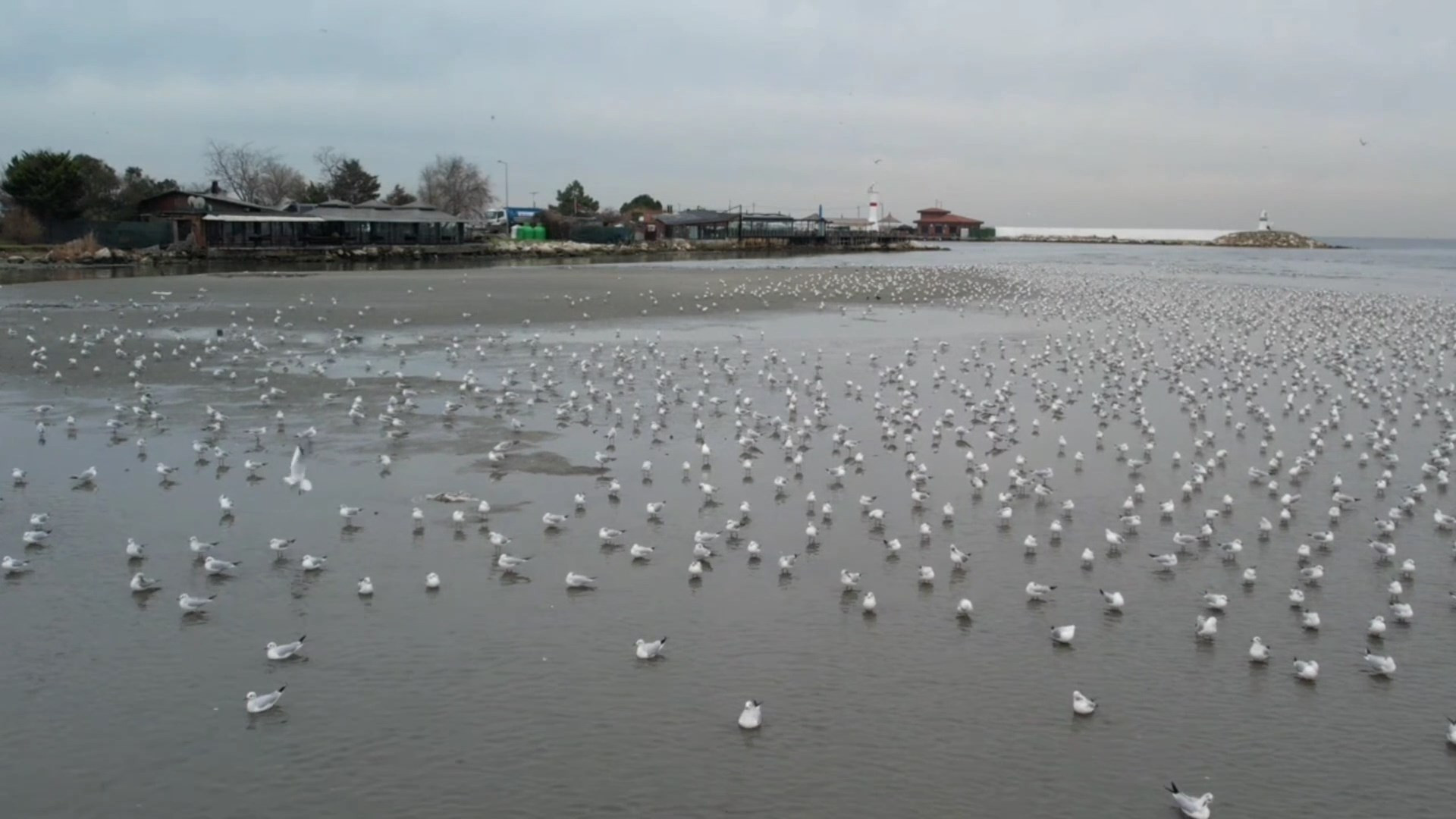 Silivride deniz yaklaşık 200 metre, Avcılarda ise 15 metre çekildi Sahilde kum adacıkları oluştu