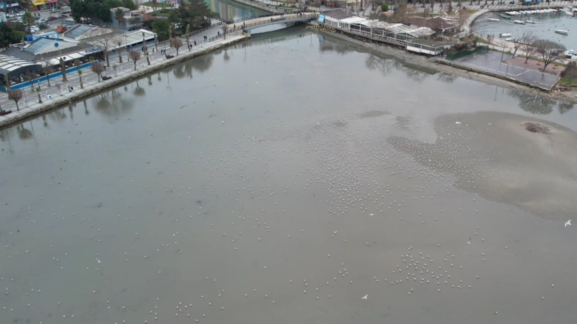 İKLİM DEĞİŞİKLİĞİNDEN OLDUĞUNU DÜŞÜNÜYORUZ