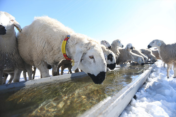 Burada bunu yapamayacaksınız, başaramayacaksınız sözlerine aldırış etmedi Devlet desteğiyle işini 6 kat büyüttü