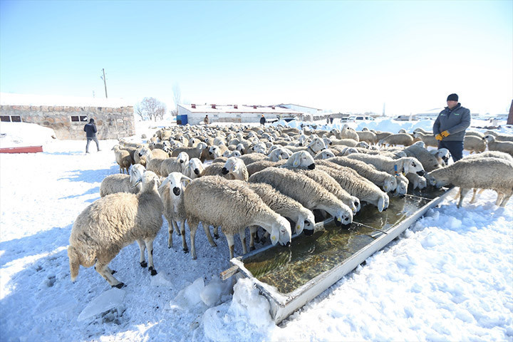 Burada bunu yapamayacaksınız, başaramayacaksınız sözlerine aldırış etmedi Devlet desteğiyle işini 6 kat büyüttü