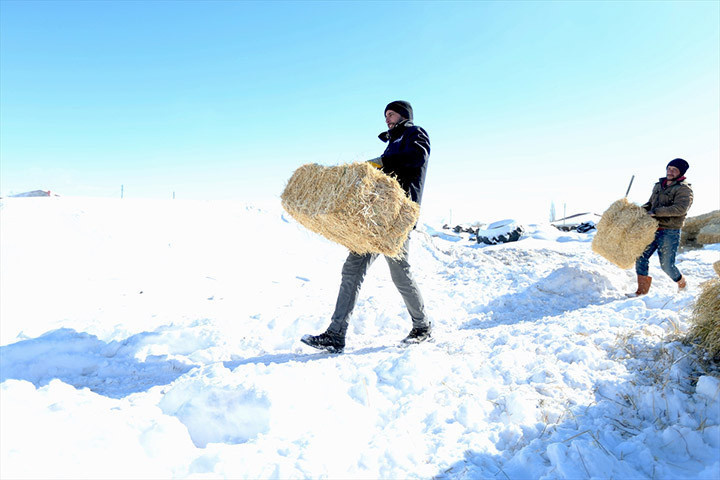 Burada bunu yapamayacaksınız, başaramayacaksınız sözlerine aldırış etmedi Devlet desteğiyle işini 6 kat büyüttü