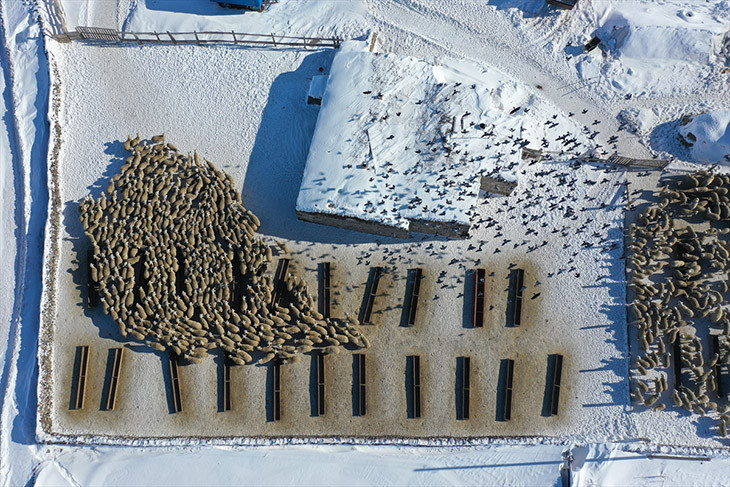 'Burada bunu yapamayacaksınız, başaramayacaksınız' sözlerine aldırış etmedi! Devlet desteğiyle işini 6 kat büyüttü