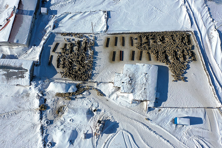 Burada bunu yapamayacaksınız, başaramayacaksınız sözlerine aldırış etmedi Devlet desteğiyle işini 6 kat büyüttü