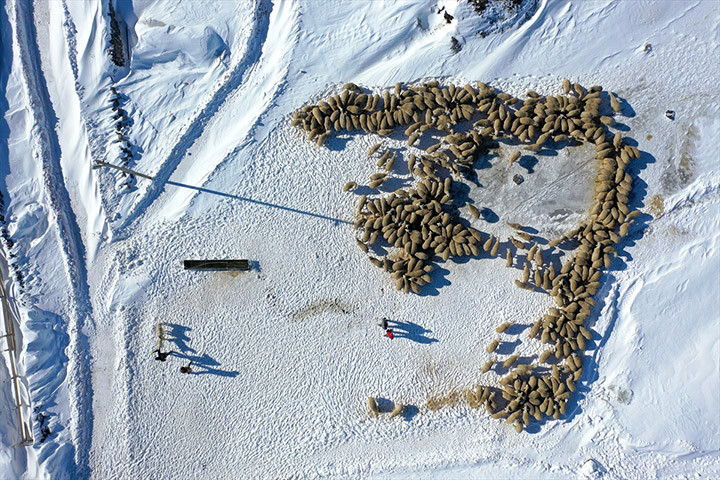 YAKLAŞIK 200 YETİŞTİRİCİMİZİ BU DESTEKTEN FAYDALANDIRDIK