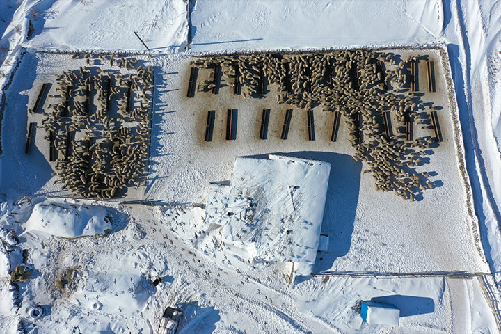 Burada bunu yapamayacaksınız, başaramayacaksınız sözlerine aldırış etmedi Devlet desteğiyle işini 6 kat büyüttü