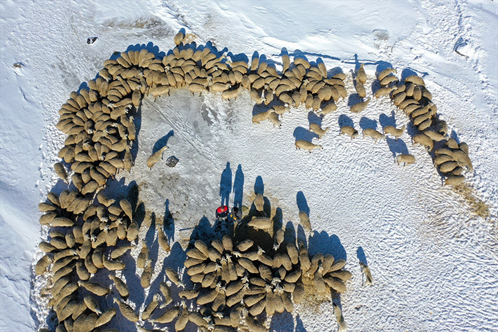 Burada bunu yapamayacaksınız, başaramayacaksınız sözlerine aldırış etmedi Devlet desteğiyle işini 6 kat büyüttü