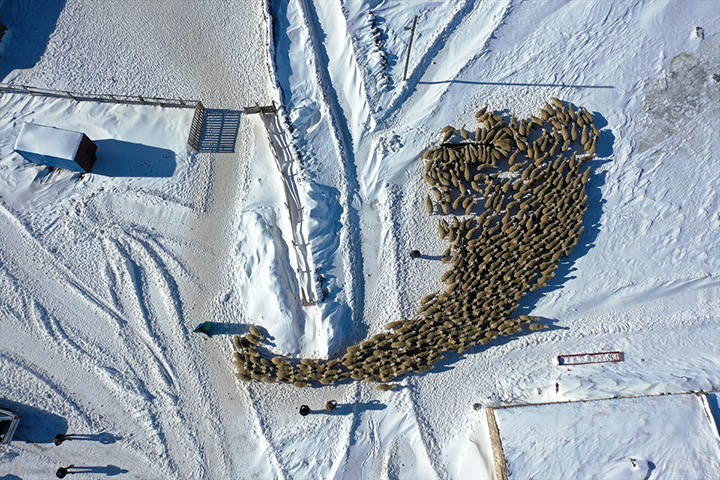 Burada bunu yapamayacaksınız, başaramayacaksınız sözlerine aldırış etmedi Devlet desteğiyle işini 6 kat büyüttü