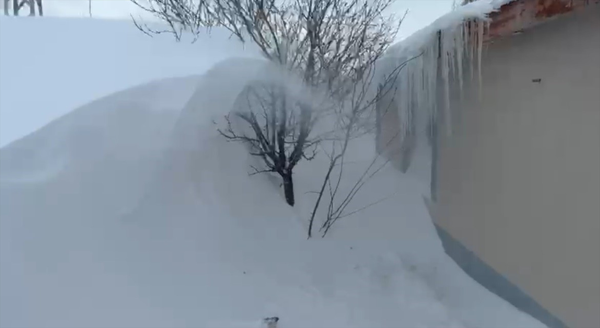  Kulübelerimiz ve araçlarımız kar altında kaldı Köpekleri kurtardık