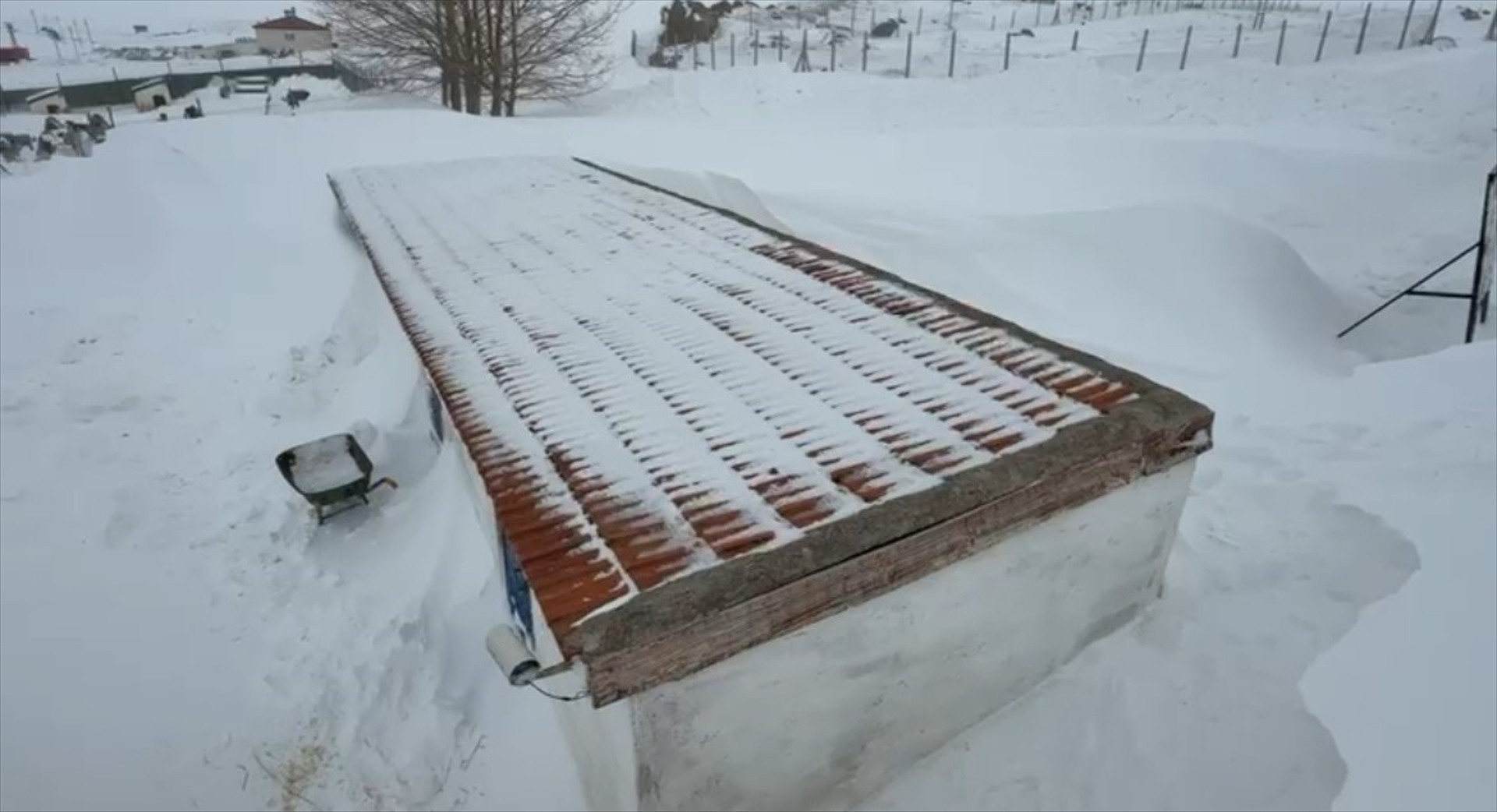  Kulübelerimiz ve araçlarımız kar altında kaldı Köpekleri kurtardık