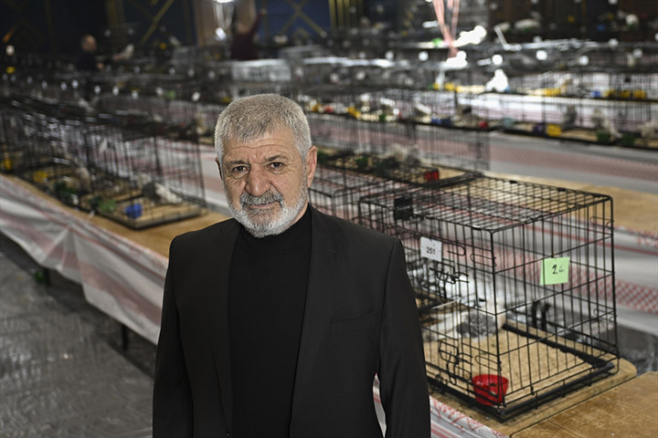 DÜNYANIN HER TARAFINA DAĞILAN BİR KUŞ TÜRÜ