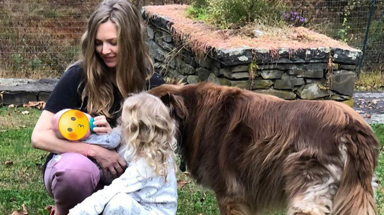 Çalışıp kazandığı parayı doya doya harcıyor: İki çocuğunu bile onunla büyütüyor: Ünlü oyuncu köpeği için özel jet kaldırdı