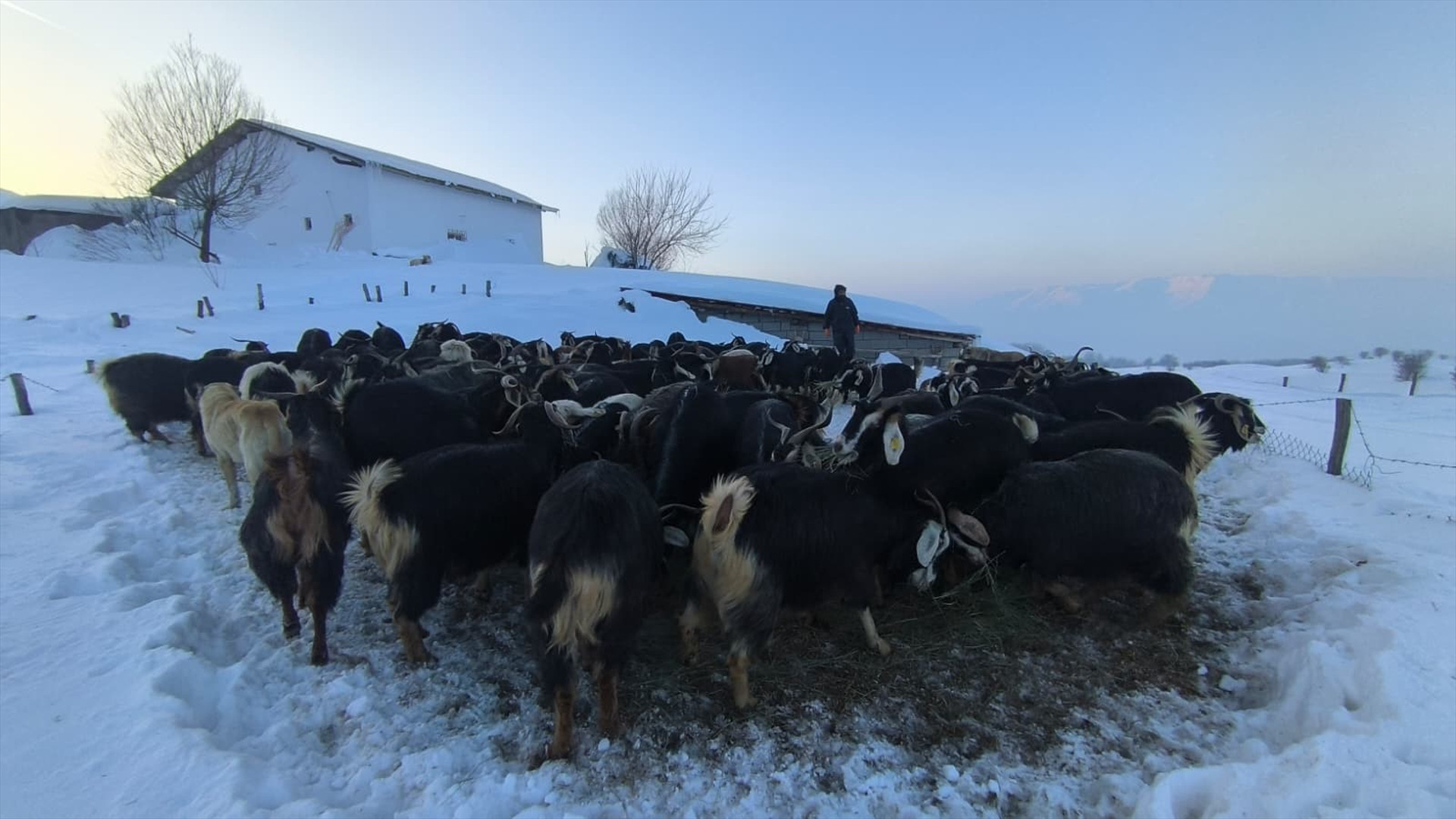 4 metre kar yağdı Ekipler yolu 2 günde açarak bölgeye ulaştı... Biz burada mahvolduk, onlar da bizim için mahvoldular