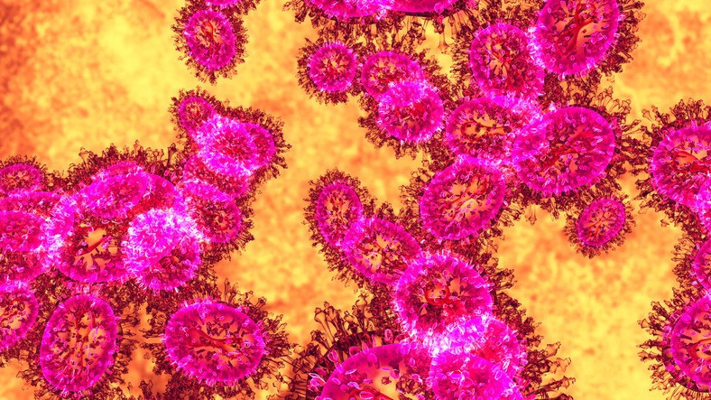 NİPAH VİRÜSÜ BELİRTİLERİ NELER