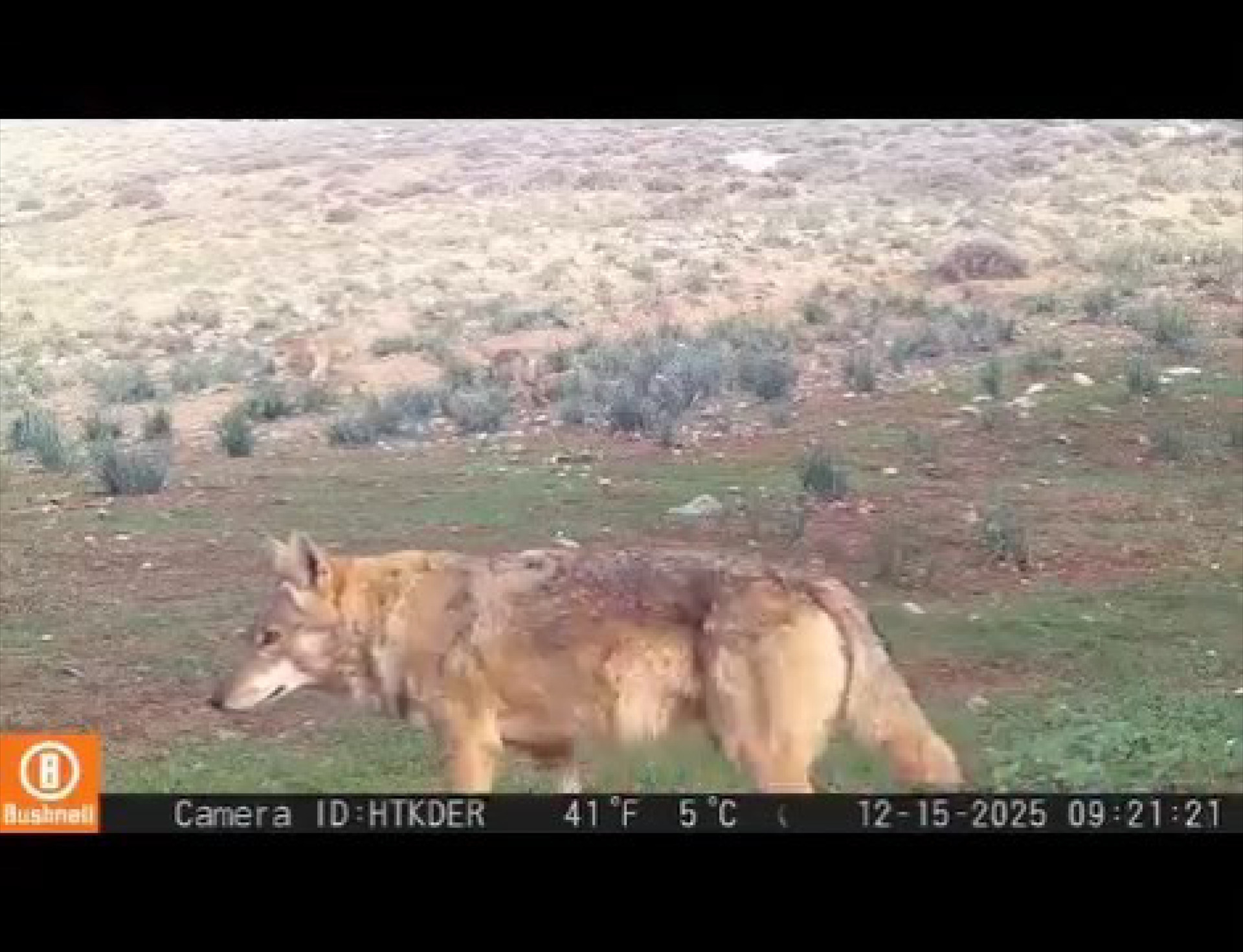  Türkiyede yalnızca Hatayda birlikte yaşıyorlar