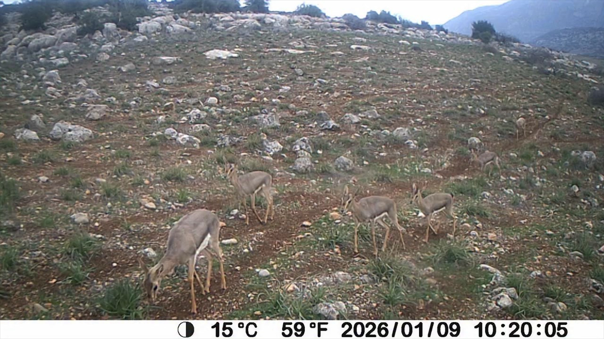 KIRSALDA VATANDAŞ-KAMU İŞ BİRLİĞİ