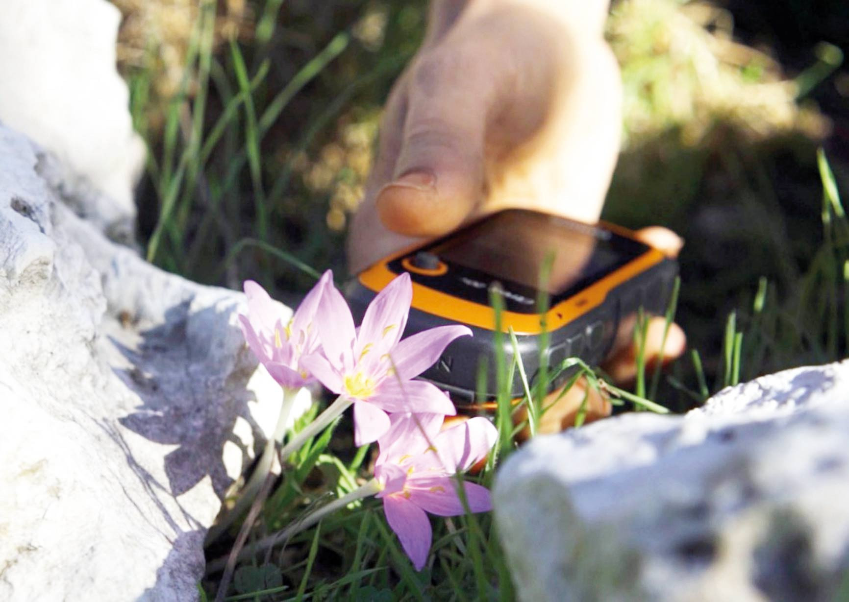 GPS’le izleniyorlar... Orkide alarmı