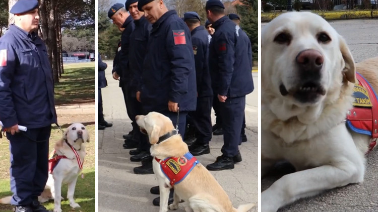 10 yıldır jandarmada görevli olan 'Medyum' emekliye ayrıldı