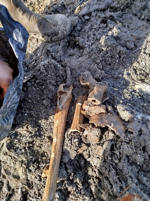  Küplerin içindeki hayrete düşürdü