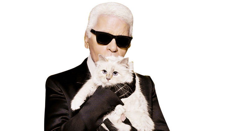 Dev miras davalık oldu! Kedisine servet bıraktı