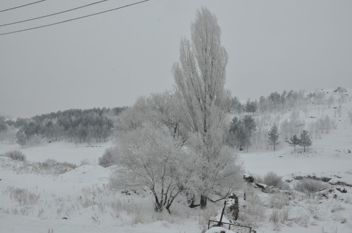 Öyle bir soğuk ki, evden çıkanın kirpikleri bile donuyor