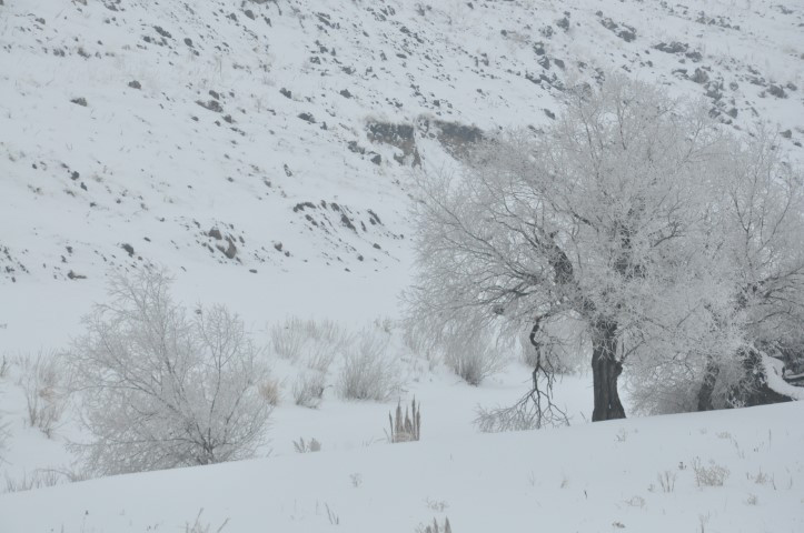Öyle bir soğuk ki, evden çıkanın kirpikleri bile donuyor