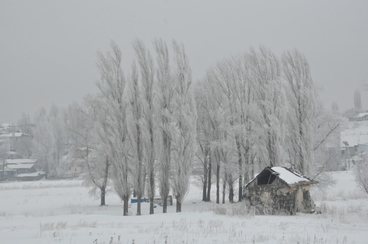 Öyle bir soğuk ki, evden çıkanın kirpikleri bile donuyor
