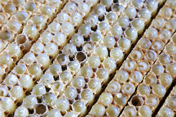 Hücreleri yeniliyor, hormonları destekliyor Kovandan gelen gençlik sırrı Hücreleri yeniliyor, hormonları destekliyor Kovandan gelen gençlik sırrı