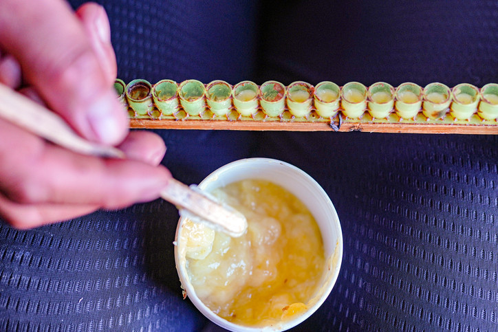 Hücreleri yeniliyor, hormonları destekliyor Kovandan gelen gençlik sırrı Hücreleri yeniliyor, hormonları destekliyor Kovandan gelen gençlik sırrı