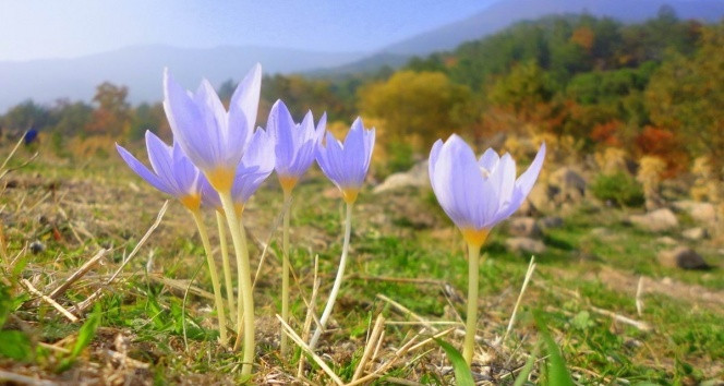 CEMRE DÜŞME SIRALAMASI NEDEN ÖNEMLİDİR CEMRE DÜŞME SIRALAMASI NEDEN ÖNEMLİDİR
