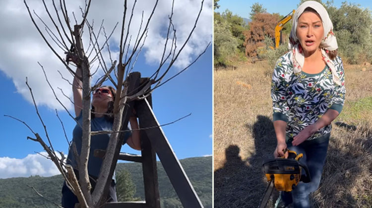 İzmir'in bir köyünde ev yaptırmıştı... Dün pancar tarlasındaydı, bugün ağaç tepesinde... Sanki yılların çiftlik sahibi