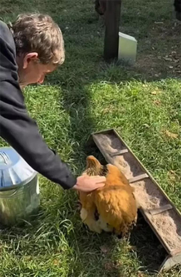 Çiftlik hayatı zor geldi, ünlü sunucu 27 milyona yeni malikane aldı