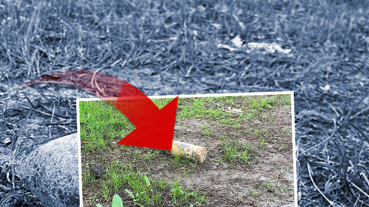 Şaşkına çeviren olay: Piknikte bulup 10 gün evinde sakladı; müzeye götürünce alarm verildi