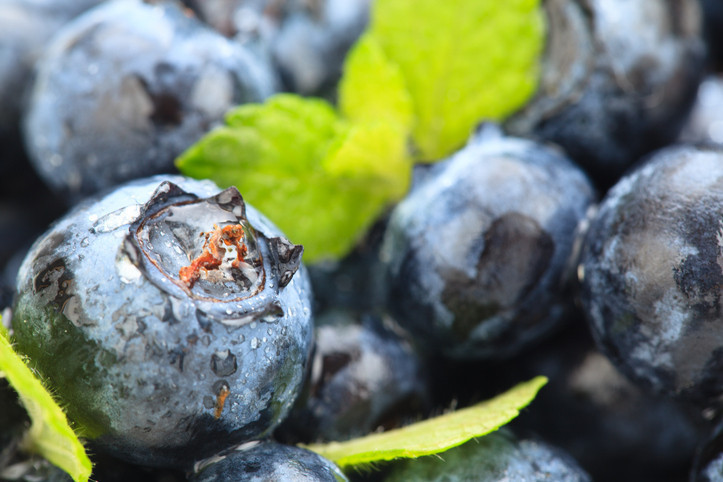 Gizli bir süper güç: Sağlığa faydası saymakla bitmiyor Günde sadece 200 gram tüketilmeli…