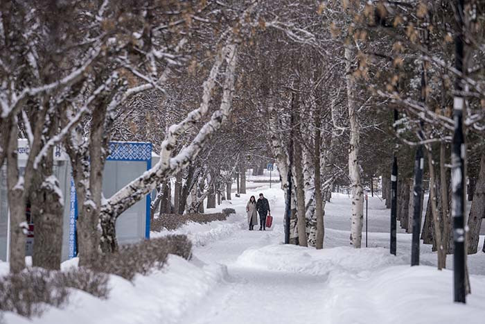  Birçok kent beyaza büründü Kar kalınlığı 3 metreye ulaştı