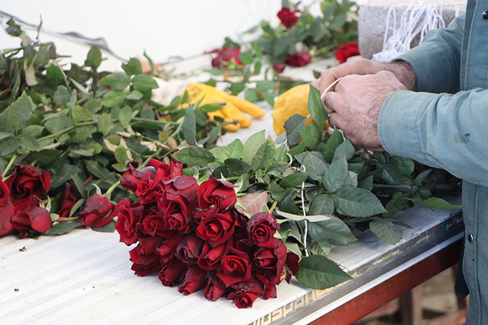 Verim neredeyse yarı yarıya düştü Verim neredeyse yarı yarıya düştü