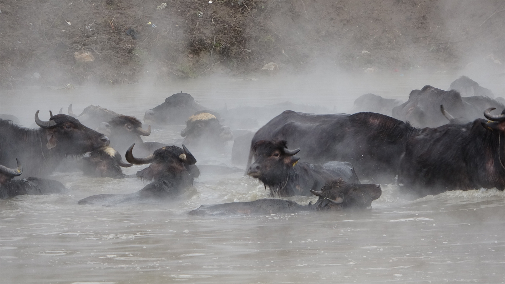  Bitlis... Doğal güzelliğiyle fotoğraf tutkunlarının ilgisini çekiyor