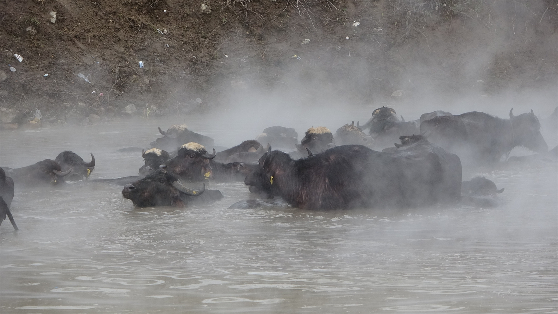  Bitlis... Doğal güzelliğiyle fotoğraf tutkunlarının ilgisini çekiyor