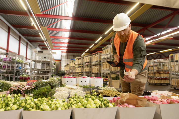 Çiçeklerin dünyaya bu kadar zarar verdiğini biliyor muydunuz Sevgililer Günü’nde sevgilinize alırken bir kere daha düşünün