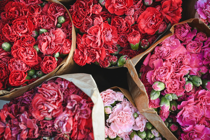 Çiçeklerin dünyaya bu kadar zarar verdiğini biliyor muydunuz Sevgililer Günü’nde sevgilinize alırken bir kere daha düşünün