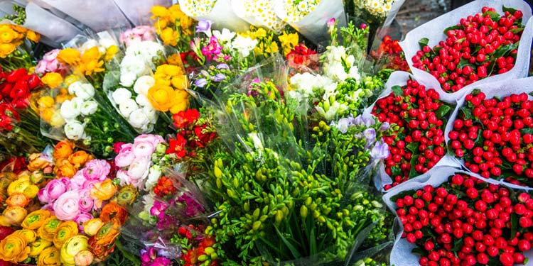 Çiçeklerin dünyaya bu kadar zarar verdiğini biliyor muydunuz Sevgililer Günü’nde sevgilinize alırken bir kere daha düşünün