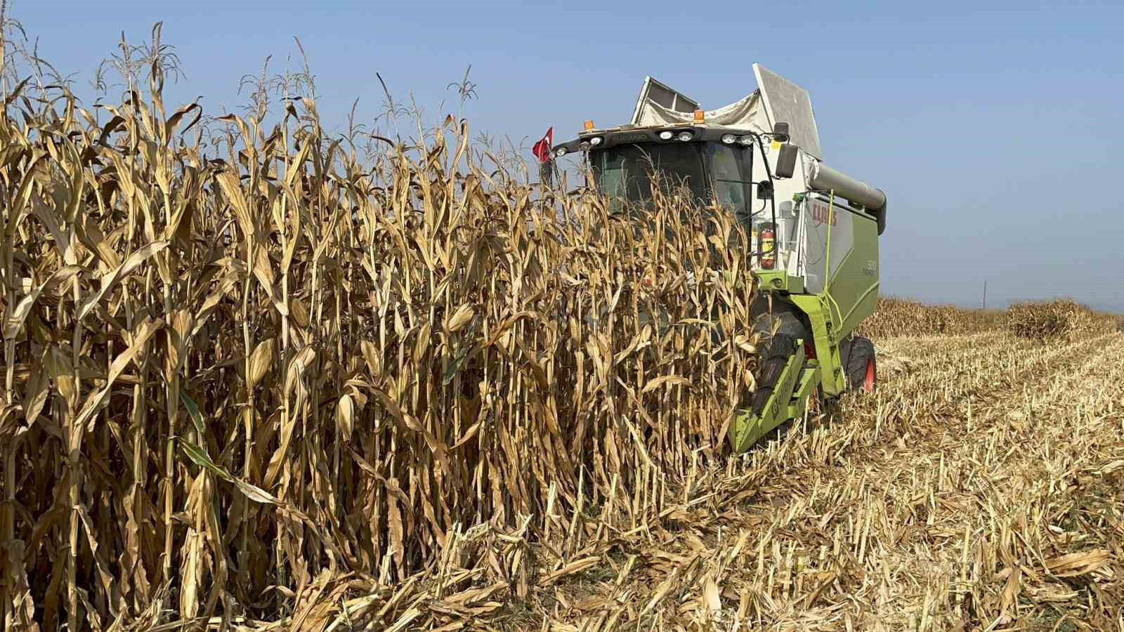 CEMRE DÜŞME TARİHLERİ 2026