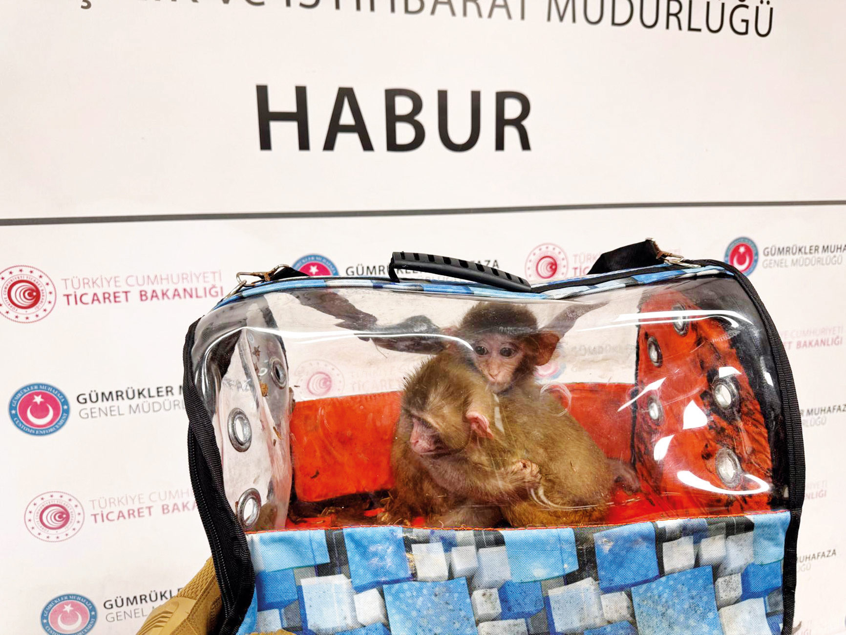 Kaçakçıların ‘hayvanat bahçesi’