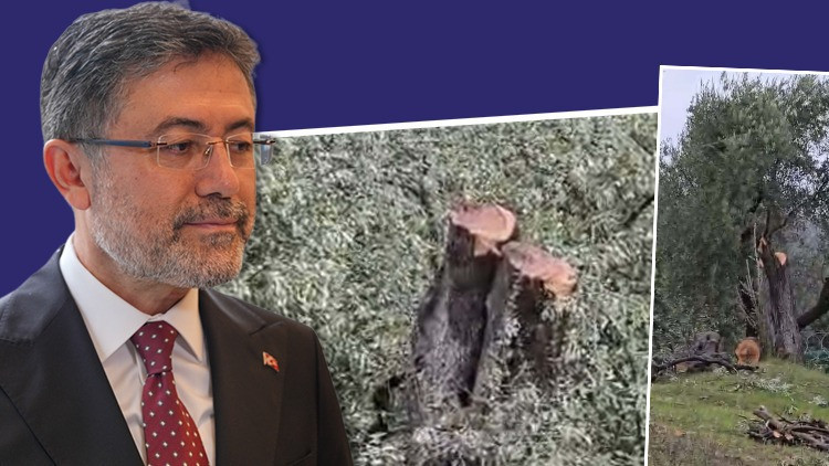 Bakan Yumaklı'dan CHP'lilere 'ağaç' tepkisi