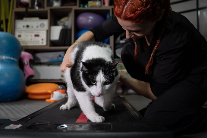 Diyet ve pilatesle zayıflatmaya çalışıyorlar Diyet ve pilatesle zayıflatmaya çalışıyorlar