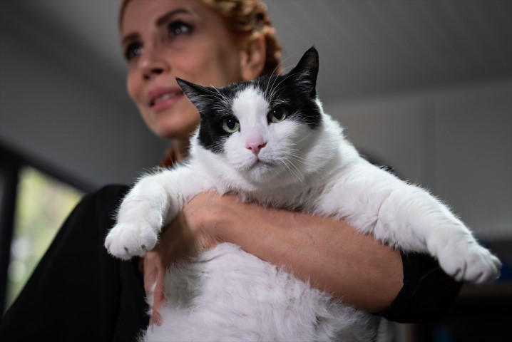 Diyet ve pilatesle zayıflatmaya çalışıyorlar Diyet ve pilatesle zayıflatmaya çalışıyorlar