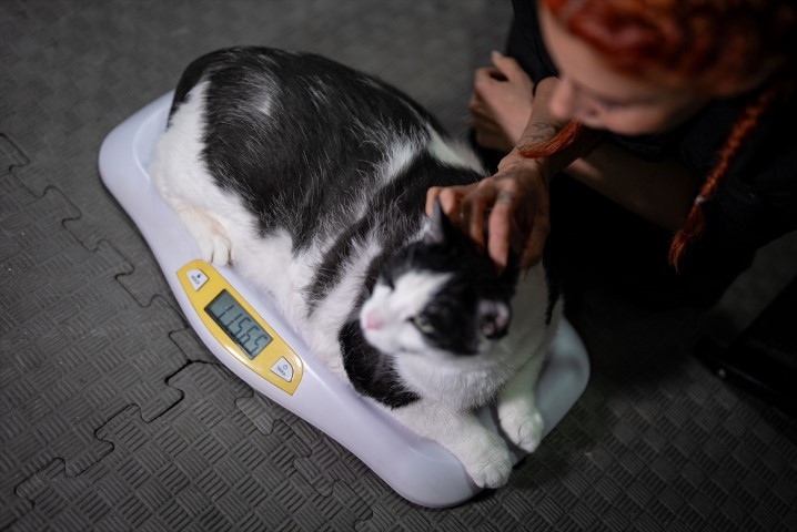 Diyet ve pilatesle zayıflatmaya çalışıyorlar Diyet ve pilatesle zayıflatmaya çalışıyorlar